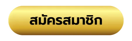 สล็อต ฝากถอน true wallet เว็บตรง